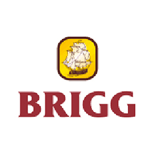 Brigg Brigg